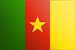 Cameroun flag