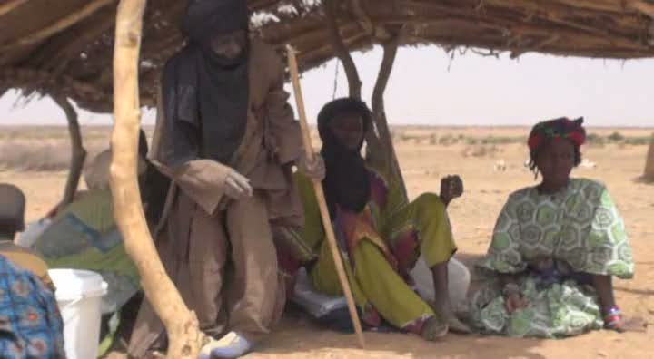 Niger: Aid arrives