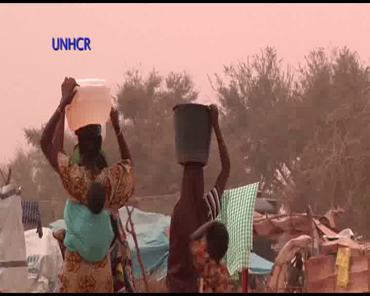 Niger: Flight from Mali