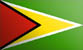 Guyana flag