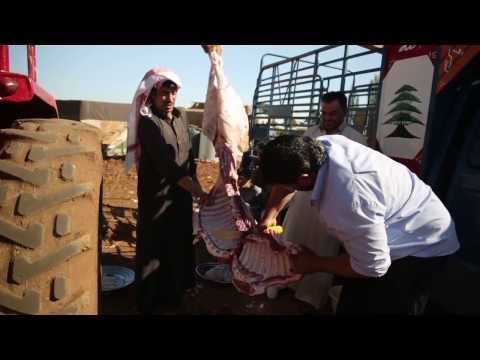 Syrian Refugees: Eid al Adha Celebrations In Lebanon