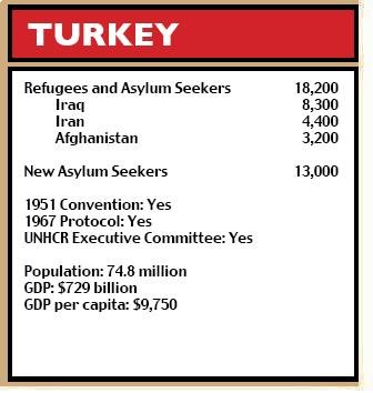 Turkey figures