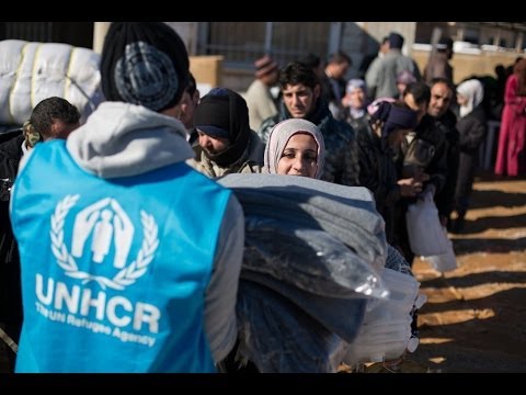 Lebanon: Delivering Aid