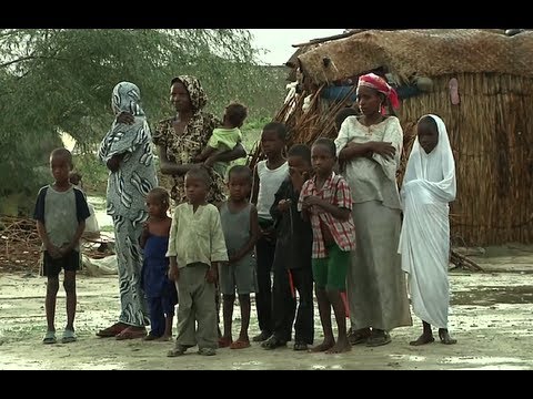 Niger: Flight from Nigeria
