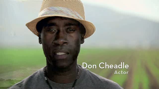 UNEP PSA - Seal The Deal 2009