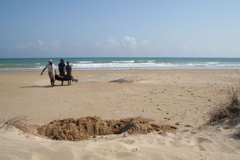 Local Yemeni fishermen regularly recover and bury the bodies of Somalis and Ethiopians who drown after being forced to swim ashore by people smugglers.