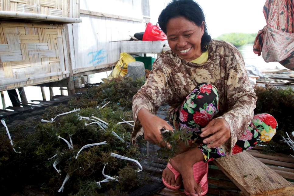 In the Philippines a woman processes seaweed before placing it on a solar dryer in Leha-Leha village. Formerly displaced, she is taking part in a UNHCR project that enables people returning to Zamboanga island to take up their traditional livelihoods.

Some 120,000 people, among them Muslim tribes like the Tausug and Sama Dilaut, were driven from their homes after clashes broke out between armed groups and government forces in Zamboanga in September 2013.