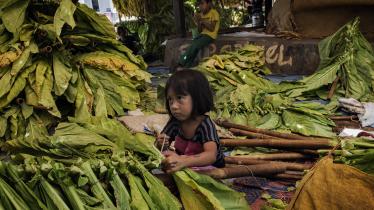 Indonesia: Los niños trabajadores del tabaco sufren mientras las empresas cosechan beneficios