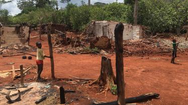 Côte d’Ivoire: Arbitrary Evictions in Protected Forests