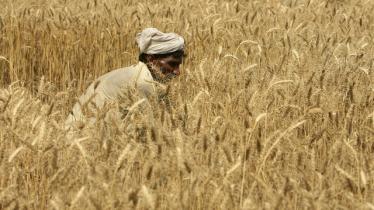 Pakistan: Crackdown on Farmers’ Protest 