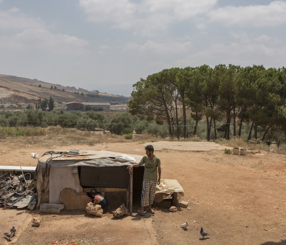 Syrian refugee Mahmoud feeds his pigeons at the Marj el Kokh tented settlement where he lives with his family in Southern Lebanon.