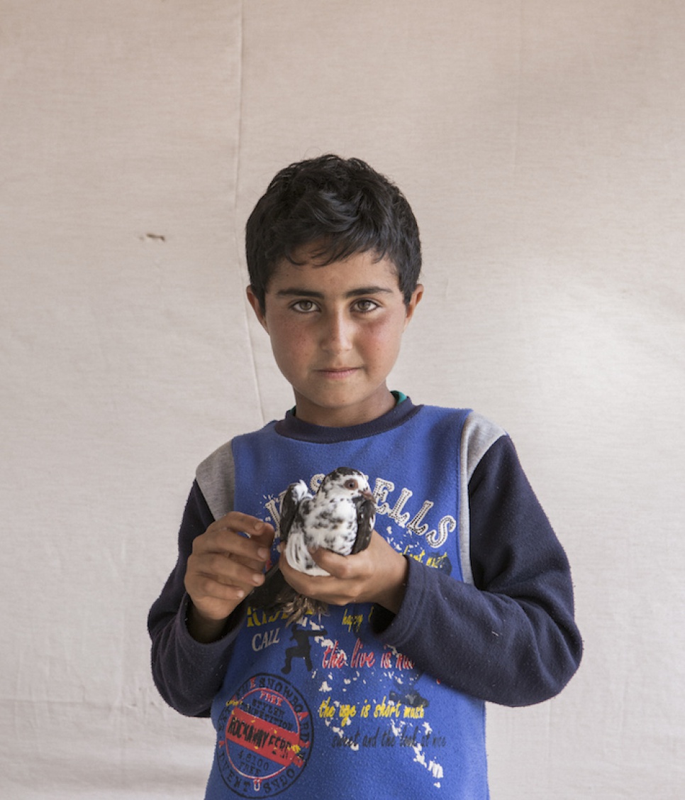 Ten-year-old Syrian refugee Saleh holds one of his 30 pigeons outside his family's shelter at the Mar el Kokh tented settlement.