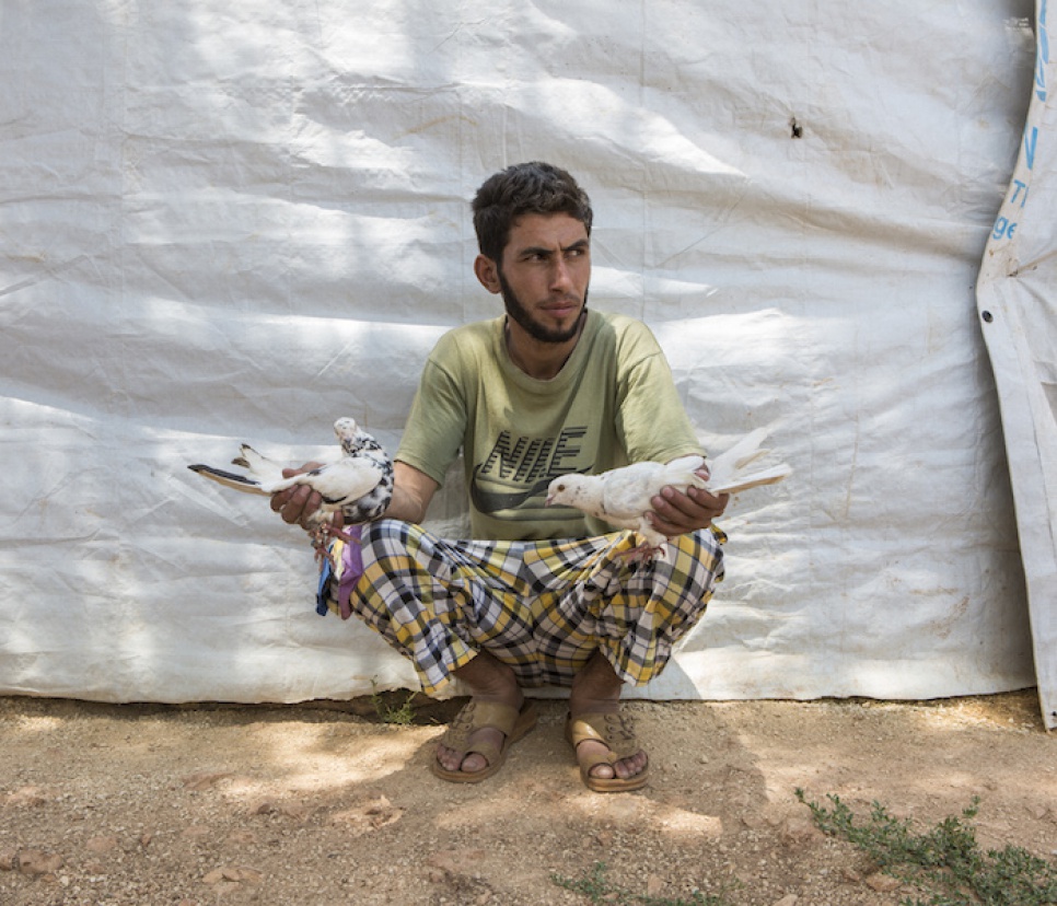 Syrian refugee Mahmoud sits with one of his prized male Syrian pigeons (on the left) and its Lebanese breeding partner.