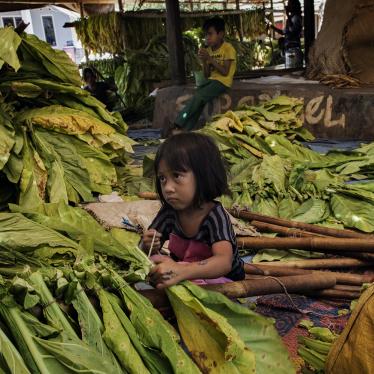 Children Should Not Be Suffering On Tobacco Farms in the 21st Century