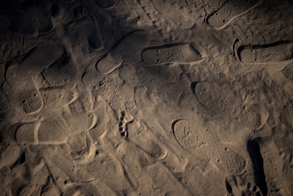 Footprints left by Nigerian refugees and aid workers at Dar-es-Salam settlement in Chad.