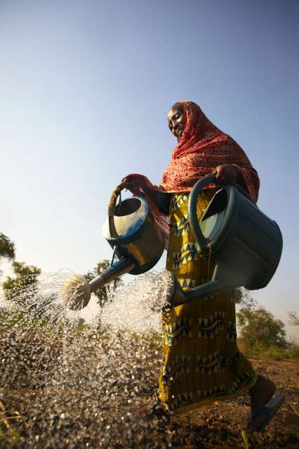 Le sud du Tchad possède d'importantes réserves d'eau et de larges étendues de terre. Les réfugiés centrafricains vivant au camp d'Amboko cultivent jusqu'à 60 pour cent de leur nourriture mensuelle. 