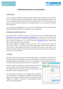 WASH TWINE Monthly Report Card Guidelines Thumb
