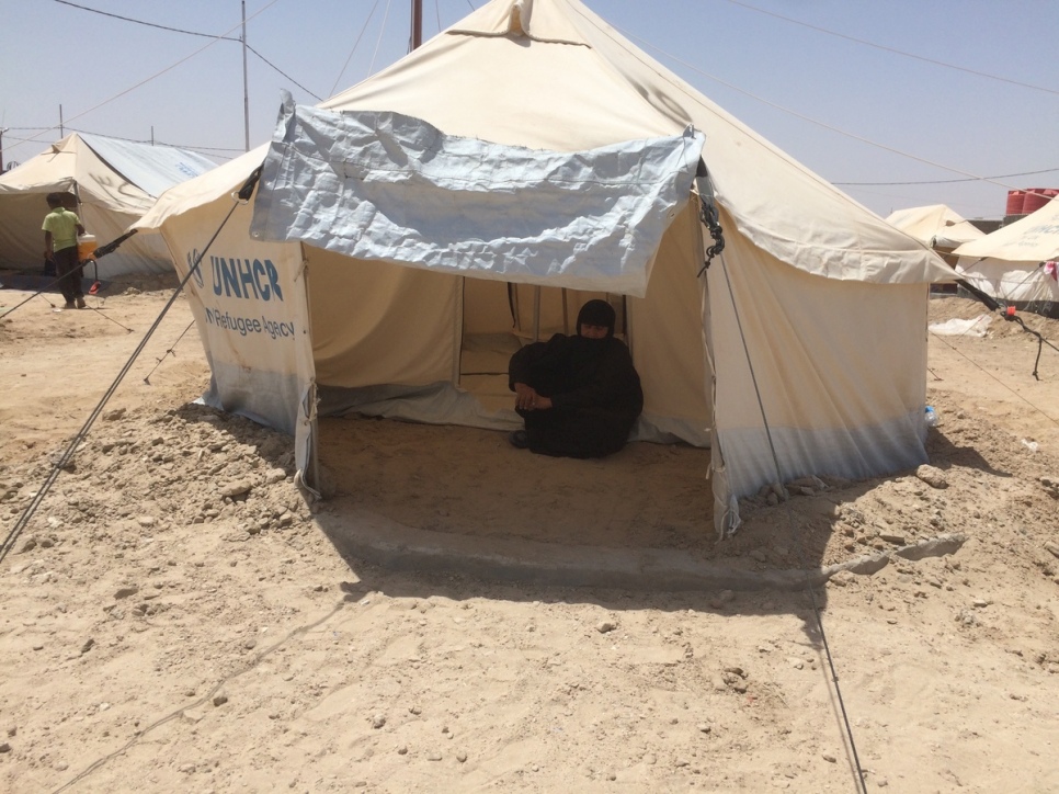 Une femme qui a fui Falloudja s'abrite dans une tente au camp d'al-Iraq, alors que la température dépasse 50C.
