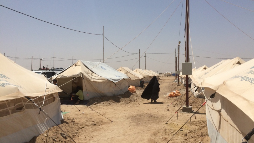 Families who fled violence in Falluja live in harsh conditions at a camp set up by the Iraqi Government in the desert in Ameriyat al-Falluja.