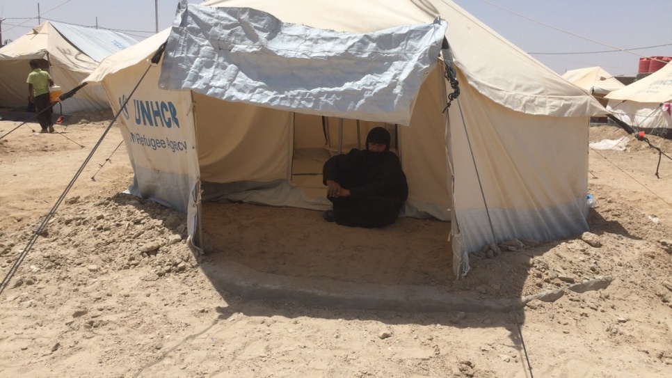 A woman who fled Falluja shelters in a tent in al-Iraq camp, Ameriyat al-Falluja, as the temperature surpasses 50 degrees Celsius.