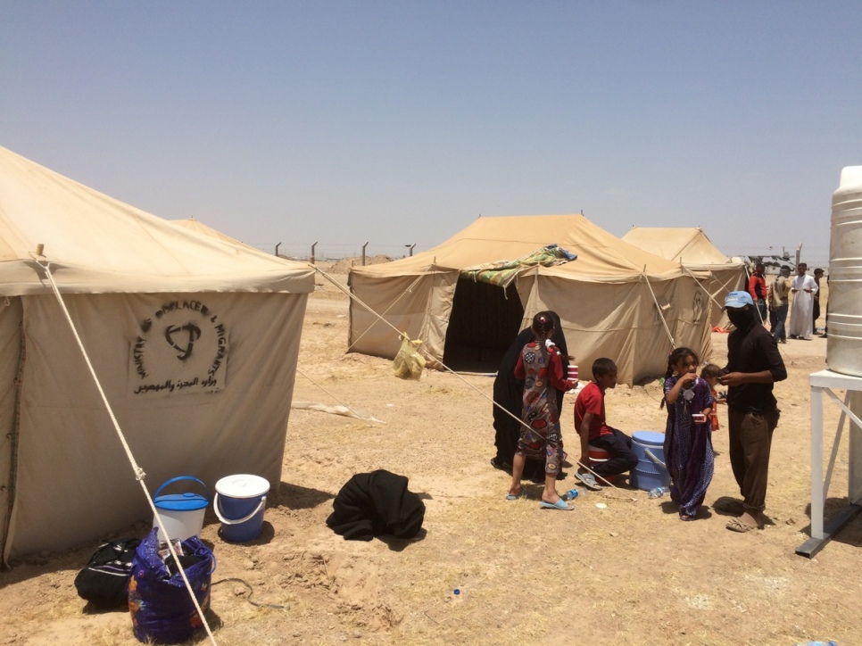 Des familles avec de jeunes enfants ayant fui les combats à Falloudja arrivent au camp de déplacés à Almeriyat al-Falluja, Iraq.