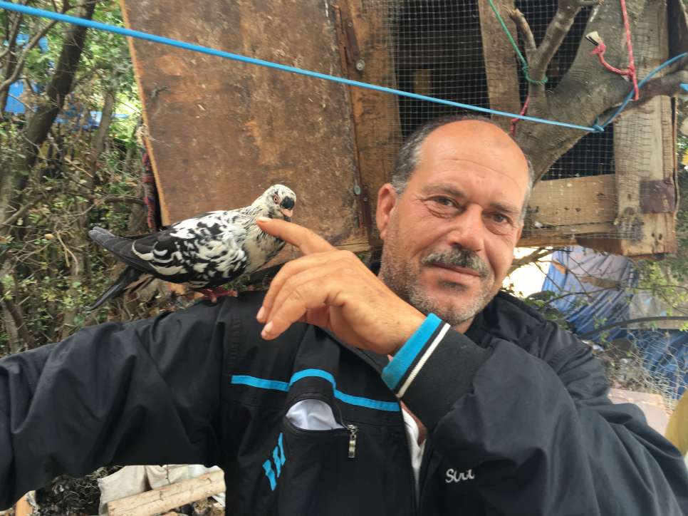 A farmer back in Syria, Hikmat strokes a dove he keeps at the refugee settlement where he now lives in Lebanon.

