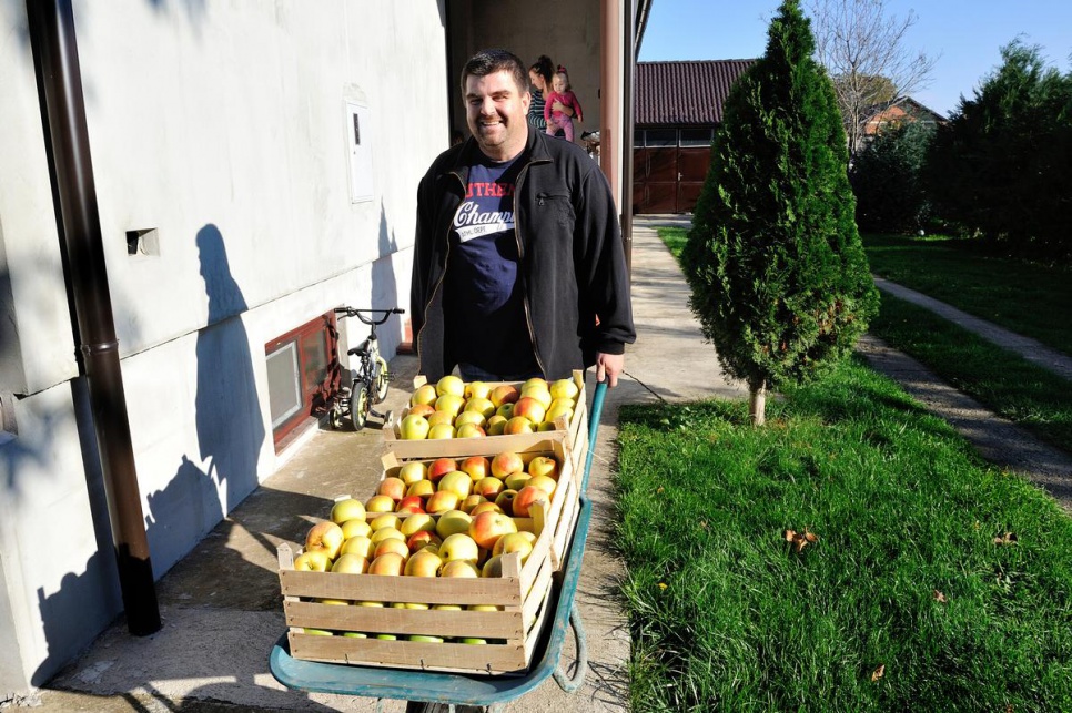 Miodrag Hillic took 1.5 tons of apples from his orchard and gave them to refugees and migrants arriving in Croatia.