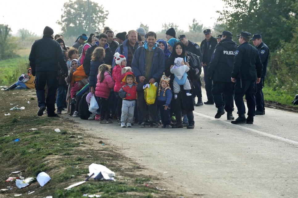 A kilometre from the Croatia/Serbia border, refugees and migrants are organised into a column before boarding buses to Opatovac transit centre.