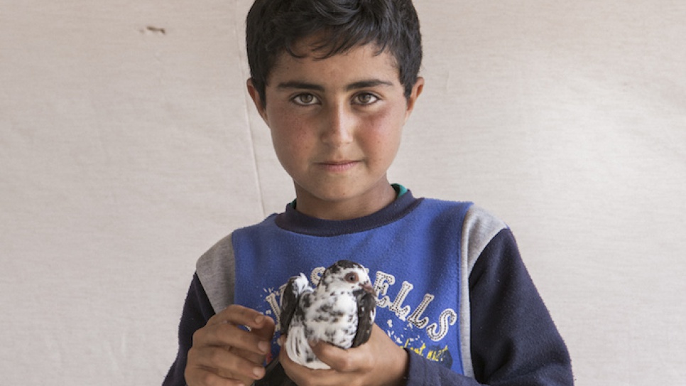 Ten-year-old Syrian refugee Saleh holds one of his 30 pigeons outside his family's shelter at the Mar el Kokh tented settlement.