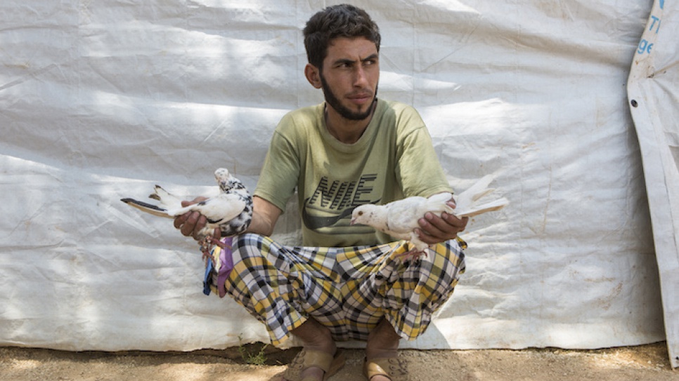 Syrian refugee Mahmoud sits with one of his prized male Syrian pigeons (on the left) and its Lebanese breeding partner.