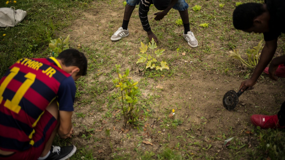 Unaccompanied children from Sudan and Afghanistan take part in a gardening lesson, one of many activities on offer at the local shelter for children in Saint-Omer.