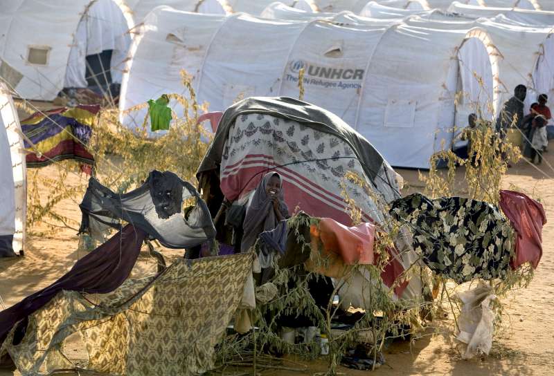 Continuing violence in Somalia has led to more and more civilians seeking refuge across the border in Kenya, but UNHCR is struggling to cope with the thousands of new arrivals at the camps who need shelter, food and medical attention. 
