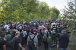 In Hungary, newly arrived refugees and migrants are accompanied by police on the road to the registration centre. Many had hoped to continue on from the border to Budapest and were chanting, "Budapest, Budapest..." 