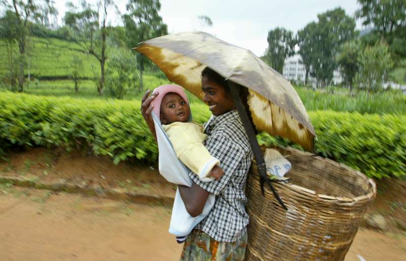 XJ̃^~leqBXJł́Ajlqǂւ̍Џp\ƂȂB © UNHCR/G.Amarasinghe 