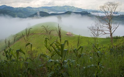 Thousands of stateless people given nationality in Thailand