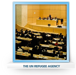THE UN REFUGEE AGENCY