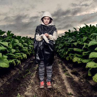米国：たばこ農場、10代の子どもの就労を禁止すべき  