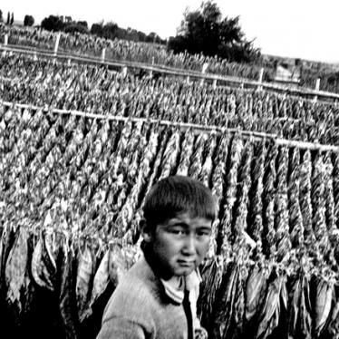 Казахстан: обман и эксплуатация трудовых мигрантов на табачных плантациях