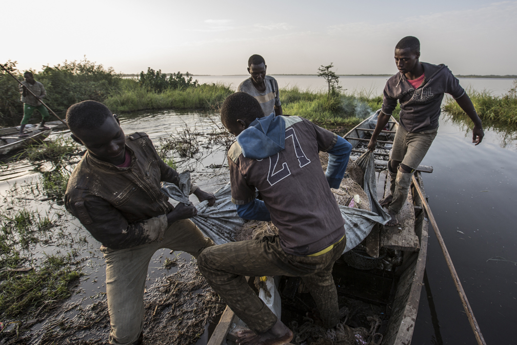 Nigerian refugees continue as fishermen, often in partnership with their Chadian counterparts from the host community. © UNHCR / Oualid Khelifi