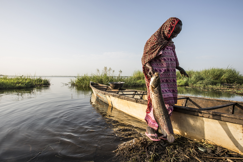 A local Chadian villager finishes washing her last big catch of the day. © UNHCR / Oualid Khelifi