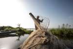 Nigerian refugee Hawali Oumar gathers up his net after a night fishing...