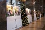 The 'No Stranger Place' exhibition at Vienna's central train station.