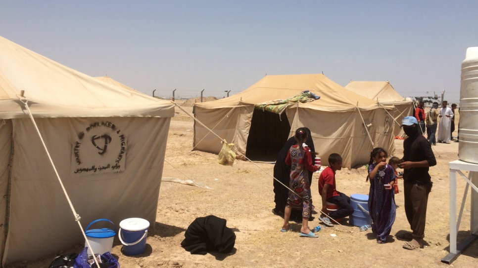 Families with young children who fled fighting in Falluja arrive at the camp in Ameriyat al-Falluja, Iraq.