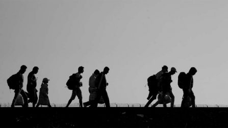 Refugees and migrants cross the border between Serbia and Hungary.
© Hollandse Hoogte/Warren Richardson