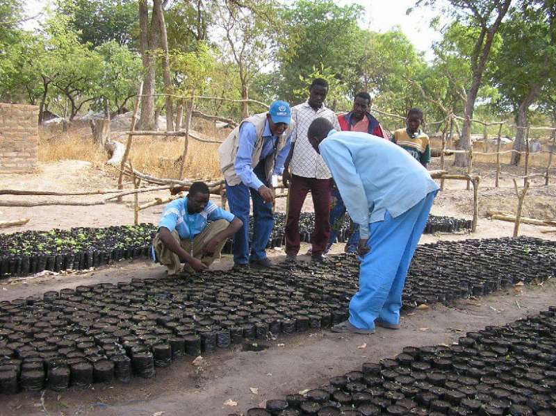 Dans le cadre d’un programme de reforestation, un fonctionnaire du HCR en charge des questions environnementales enseigne à des collègues et à des réfugiés les techniques d’entretien des végétaux de pépinière, au camp de réfugiés d’Amboko dans le sud du Tchad. 