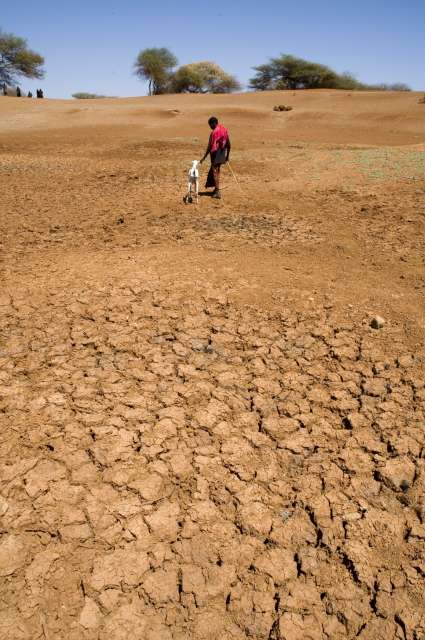 For Somali families that have endured violence and poverty for generations, a crushing blow came when climate change led to the disappearance of pasture for their animals. Their nomadic way of life destroyed, they are forced to settle in towns or cities where they are often reliant on assistance.