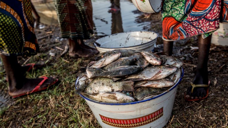 Climate change is also having a profound effect on communities around Lake Chad.