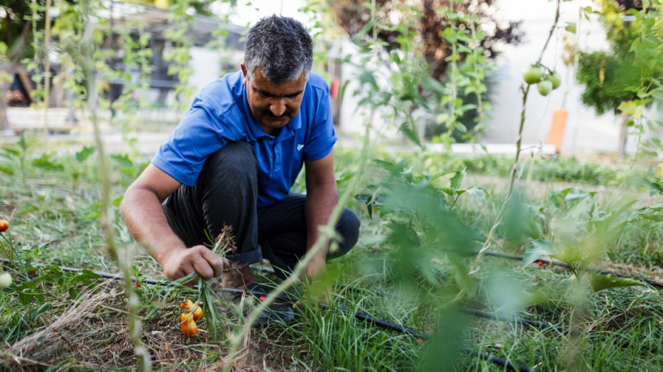 "I had a small peaceful garden and I liked to grow flowers," said Fazel Ahmad, 43, as he remembers his life back home in Afghanistan. 