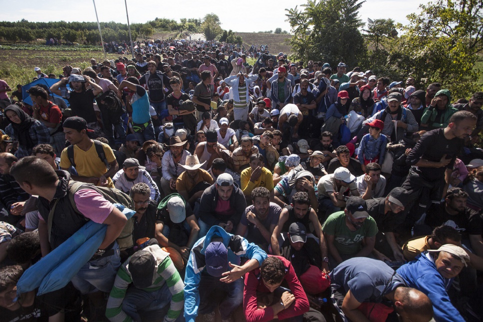 Refugees and migrants wait near the border crossing at Bapska, Croatia.