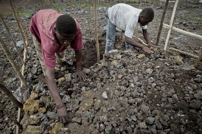Réalisation du sol. Basémé et son beau-frère empilent avec soin des pierres volcaniques sur lesquelles la famille dormira.